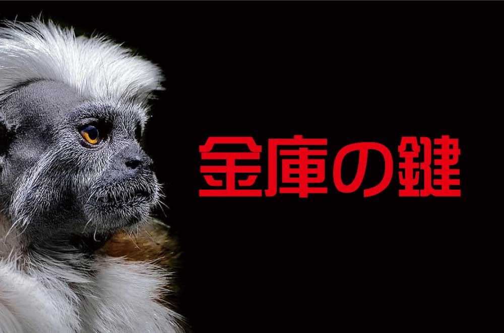 手提げ金庫.家庭用金庫.業務用金庫.耐火金庫.防盗金庫.開かずの金庫.ダイヤル式金庫.マグネットシリンダー金庫.鍵付き金庫.ハイセキュリティー金庫.壁埋込式金庫…