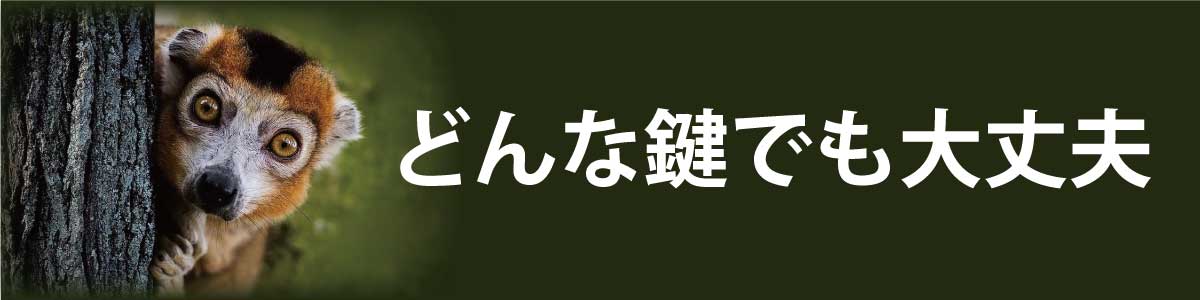 どんな鍵でも大丈夫