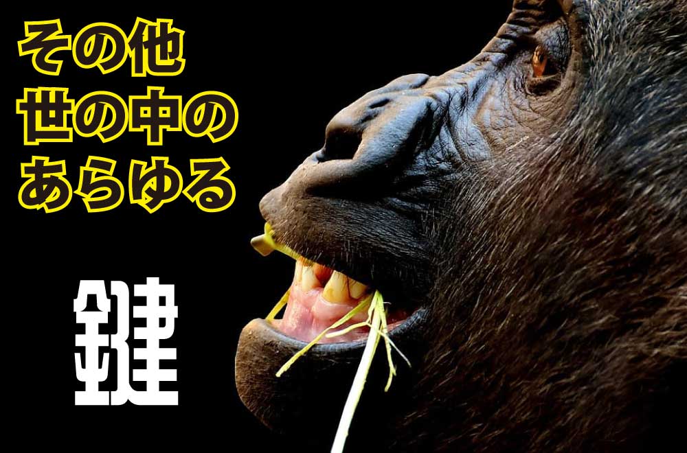 家具（タンス.チェスト）.オフィス家具（デスク.ロッカー.書庫）.スーツケース.キャリアケース.カバン.バッグ.アタッシュケース.ブリーフケース.ピアノ.楽器ケース.貯金箱...